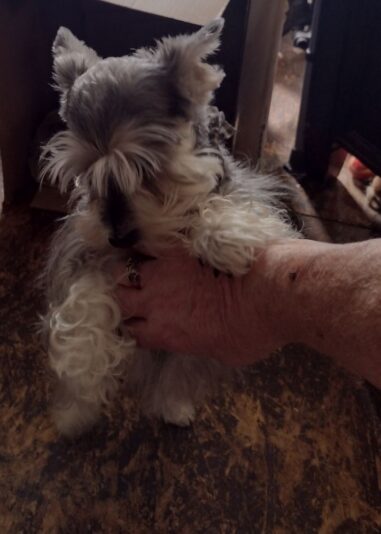 IMG_20250422_160649957_HDR~2