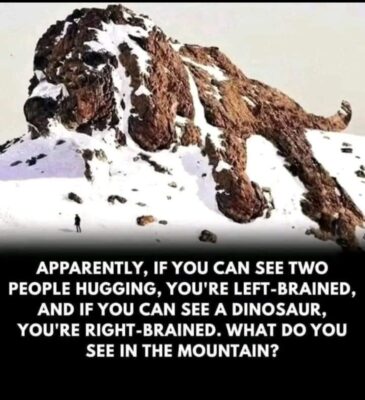 what do you see