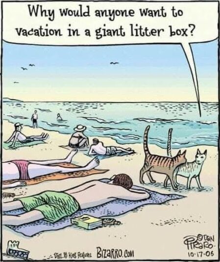 litterbox08675_n