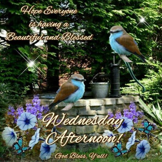 -good-afternoon Wednesday