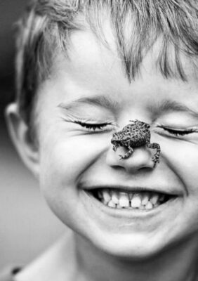 caption group frog on nose