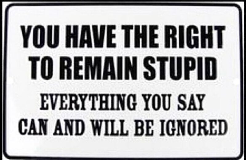 right to remain stupid