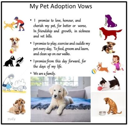 Pet Promise.polly