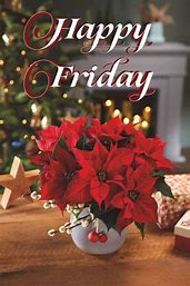 Happy Friday Poinsettia