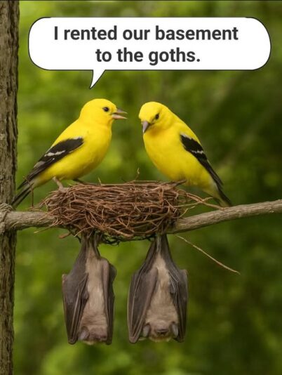 goths