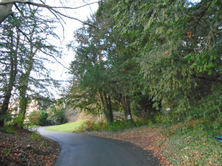 PATH TO
