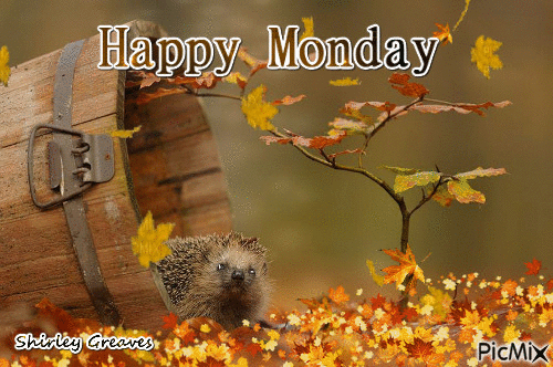 Happy Monday windy fall day