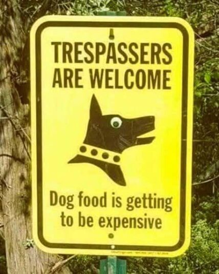 dog food