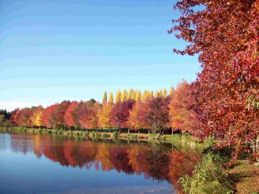 Autumn