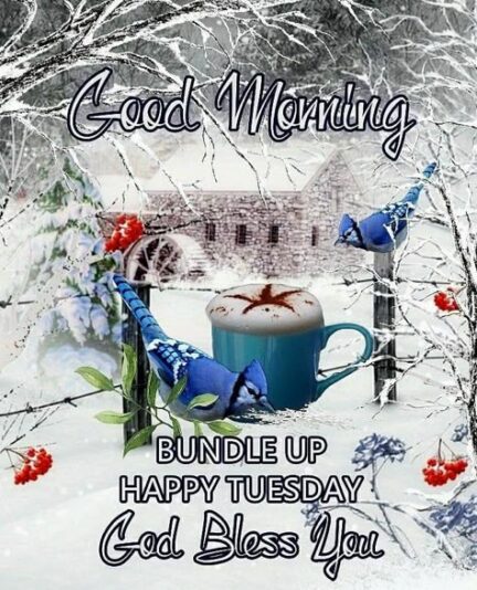 Good Morning Tuesday Bundle up