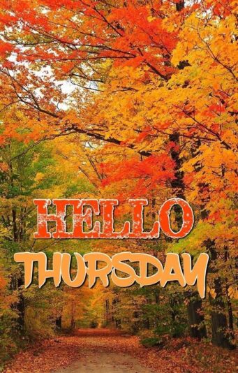 Hello Thursday Fall