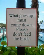 Birds.