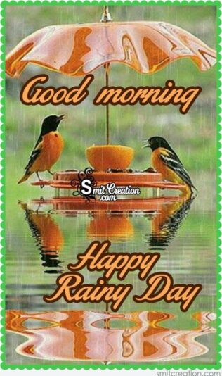 Happy Rainy Day Oriole Birds