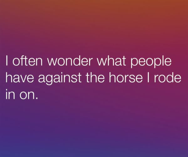Fu and the horse