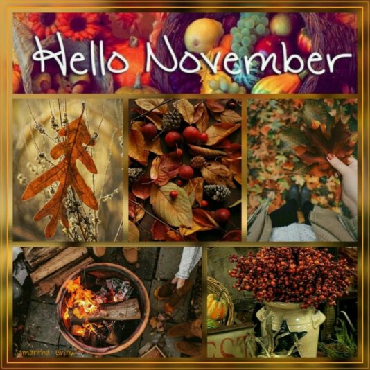 Hello November