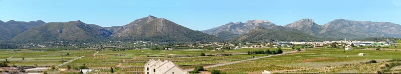 Lliber View
