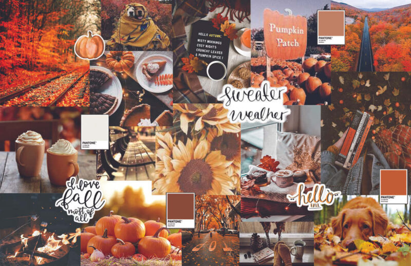 I love fall sweater weather collage