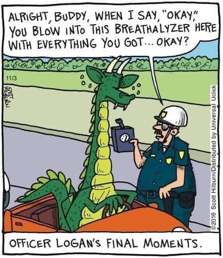 stupid cop