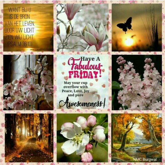 Have a great Friday