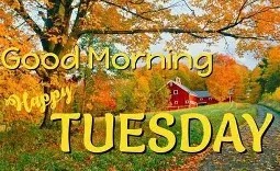 Good Morning Tuesday Fall