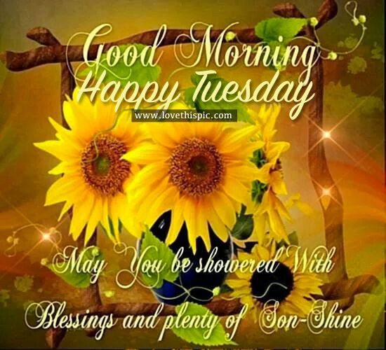 Good Morning Tuesday Sunflower