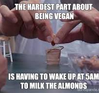 mVegan milk almonds