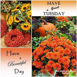 Happy Tuesday Fall