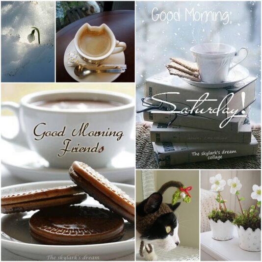 Good morning Saturday friends