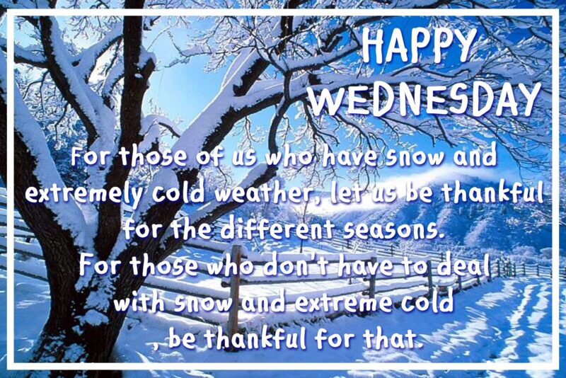 Happy Wednesday