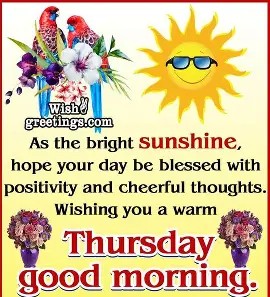 Happy Thursday sunny day