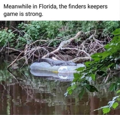 gator finders keepers