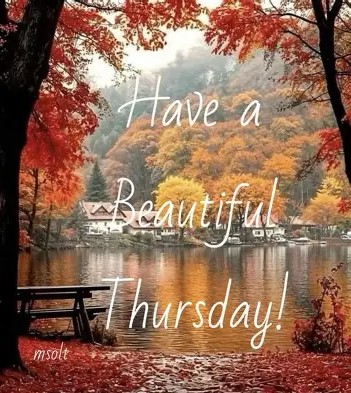 Have a beautiful Thursday Fall