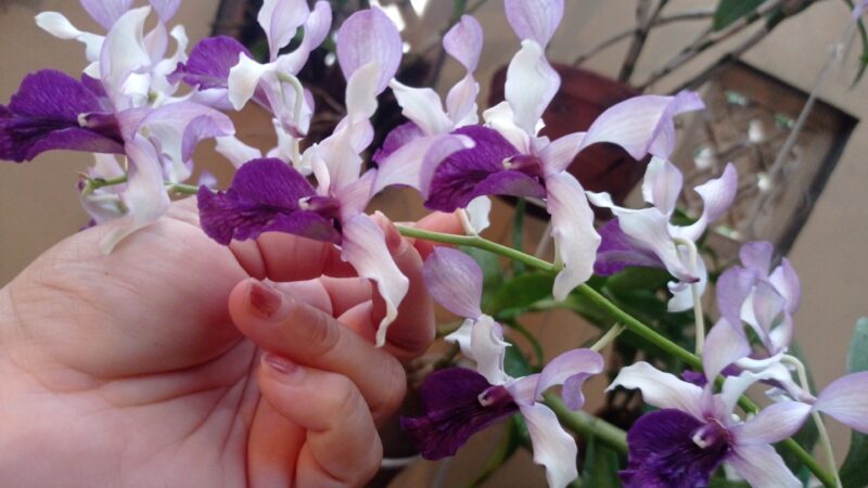 IMG-20240911-WA0032
