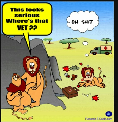 The Vet.