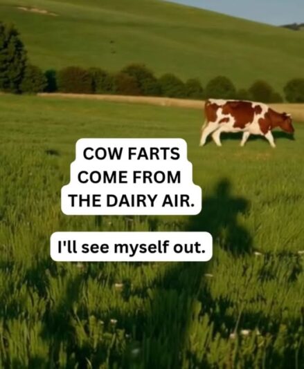 cowfarts