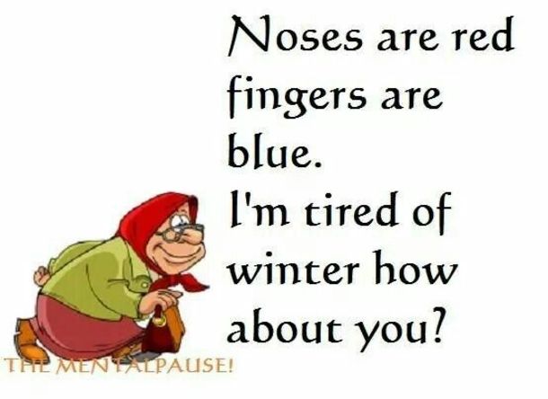 winter noses are red