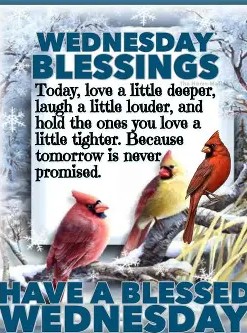 Wednesday Blessings 2