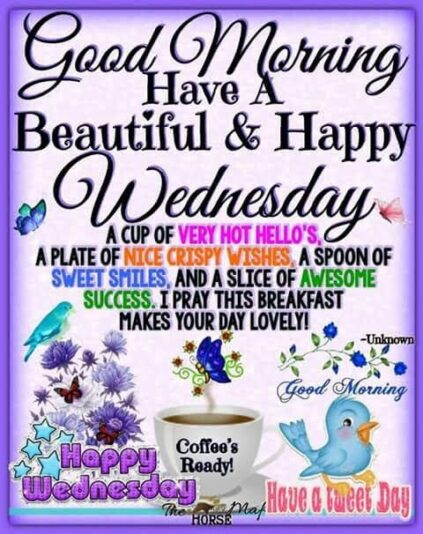 Good morning Happy Wednesday