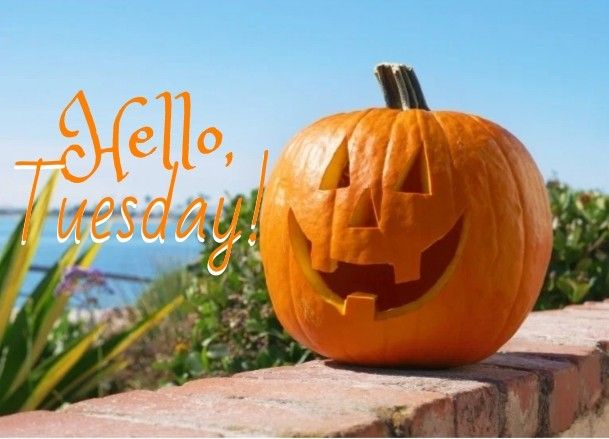 Hello Tuesday