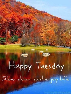 Happy Tuesday fall