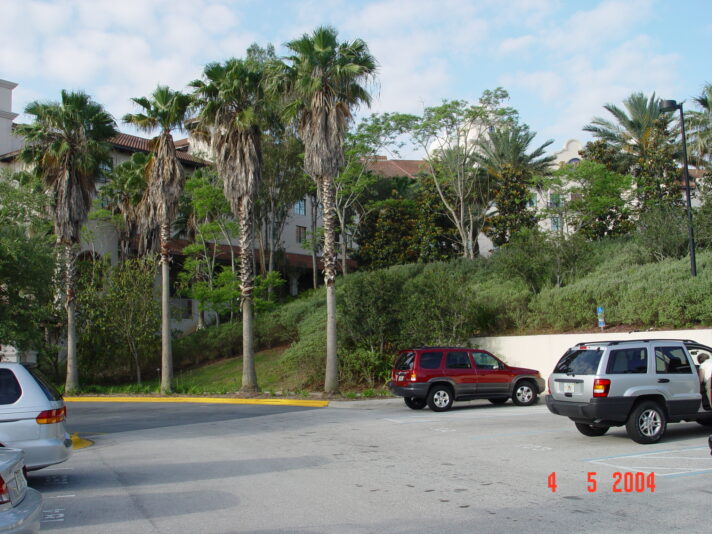 DSC00735