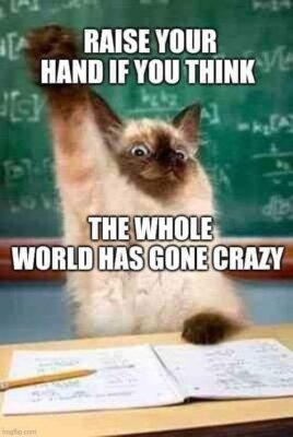 quote group world gone crazy