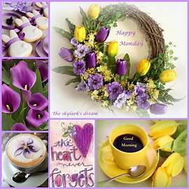 Happy Monday sunny day