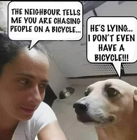 dog-bicycle