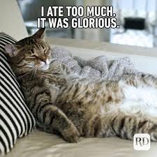 joke christmas eating