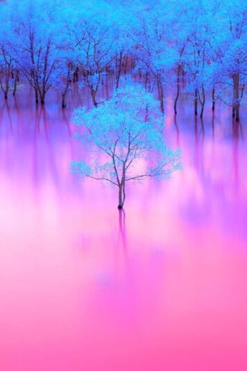 34D11F87-56B4-4B4B-AD90-3271BBD83605
