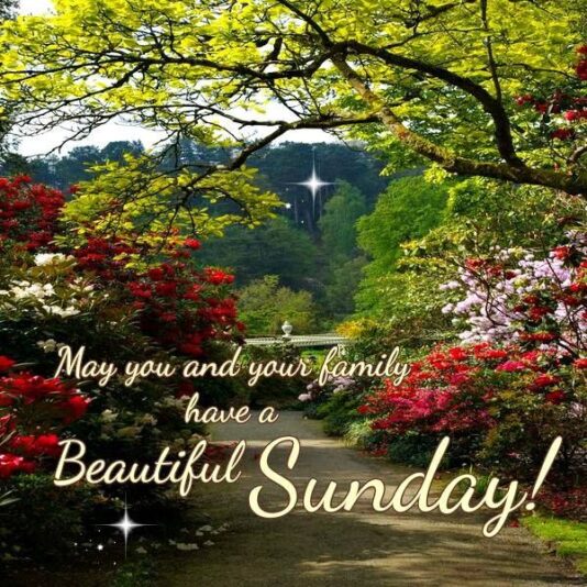 Have a beautiful Sunday