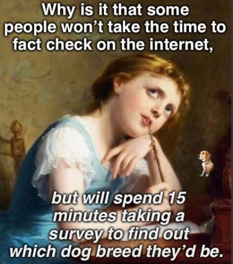 no facts just idiots