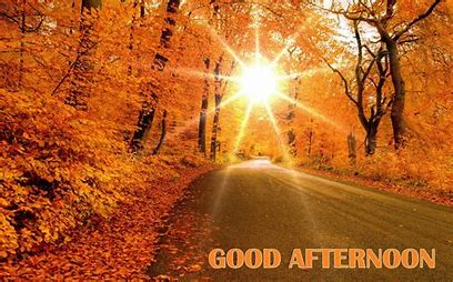 Good afternoon fall 1