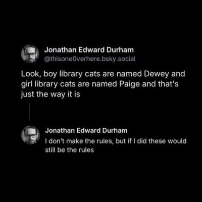 library cat names43762_n